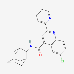 molecular formula C25H24ClN3O B3504359 N-(ADAMANTAN-2-YL)-6-CHLORO-2-(PYRIDIN-2-YL)QUINOLINE-4-CARBOXAMIDE 