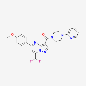 molecular formula C24H22F2N6O2 B3536202 [7-(DIFLUOROMETHYL)-5-(4-METHOXYPHENYL)PYRAZOLO[1,5-A]PYRIMIDIN-3-YL][4-(2-PYRIDYL)PIPERAZINO]METHANONE 