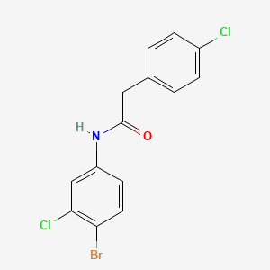 molecular formula C14H10BrCl2NO B3541737 N-(4-bromo-3-chlorophenyl)-2-(4-chlorophenyl)acetamide 