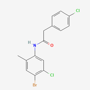 molecular formula C15H12BrCl2NO B3541755 N-(4-bromo-5-chloro-2-methylphenyl)-2-(4-chlorophenyl)acetamide 