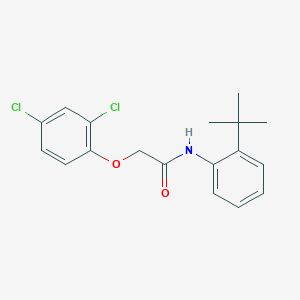 molecular formula C18H19Cl2NO2 B3542399 N-(2-tert-butylphenyl)-2-(2,4-dichlorophenoxy)acetamide 