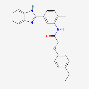 molecular formula C25H25N3O2 B3555785 N-[5-(1H-1,3-BENZODIAZOL-2-YL)-2-METHYLPHENYL]-2-[4-(PROPAN-2-YL)PHENOXY]ACETAMIDE 