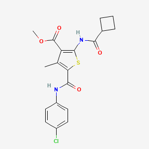 molecular formula C19H19ClN2O4S B3555902 METHYL 5-[(4-CHLOROPHENYL)CARBAMOYL]-2-CYCLOBUTANEAMIDO-4-METHYLTHIOPHENE-3-CARBOXYLATE 