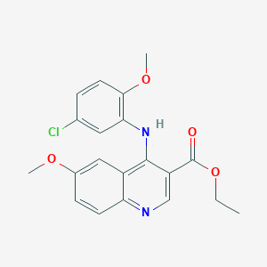 molecular formula C20H19ClN2O4 B3555926 Ethyl 4-[(5-chloro-2-methoxyphenyl)amino]-6-methoxyquinoline-3-carboxylate 