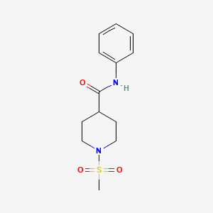 molecular formula C13H18N2O3S B3563120 1-(methylsulfonyl)-N-phenylpiperidine-4-carboxamide 