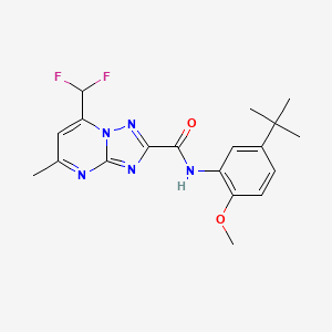 molecular formula C19H21F2N5O2 B3566356 N-(5-tert-butyl-2-methoxyphenyl)-7-(difluoromethyl)-5-methyl-[1,2,4]triazolo[1,5-a]pyrimidine-2-carboxamide 