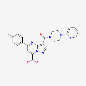 molecular formula C24H22F2N6O B3566430 [7-(DIFLUOROMETHYL)-5-(4-METHYLPHENYL)PYRAZOLO[1,5-A]PYRIMIDIN-3-YL][4-(2-PYRIDYL)PIPERAZINO]METHANONE 