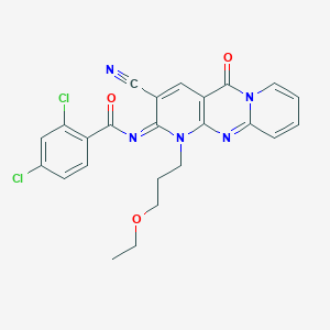 molecular formula C24H19Cl2N5O3 B356649 2,4-dichloro-N-[5-cyano-7-(3-ethoxypropyl)-2-oxo-1,7,9-triazatricyclo[8.4.0.03,8]tetradeca-3(8),4,9,11,13-pentaen-6-ylidene]benzamide CAS No. 848683-13-6