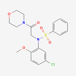molecular formula C19H21ClN2O5S B3567517 N-(5-chloro-2-methoxyphenyl)-N-[2-(4-morpholinyl)-2-oxoethyl]benzenesulfonamide 