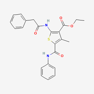 molecular formula C23H22N2O4S B3567722 ETHYL 4-METHYL-5-(PHENYLCARBAMOYL)-2-(2-PHENYLACETAMIDO)THIOPHENE-3-CARBOXYLATE 