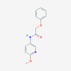 molecular formula C14H14N2O3 B358368 N-(6-methoxy-3-pyridinyl)-2-phenoxyacetamide CAS No. 287943-89-9