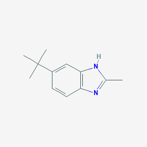 molecular formula C12H16N2 B358400 5-(tert-butyl)-2-methyl-1H-benzo[d]imidazole CAS No. 5805-62-9
