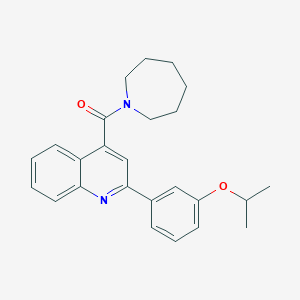 molecular formula C25H28N2O2 B3605285 4-(AZEPANE-1-CARBONYL)-2-[3-(PROPAN-2-YLOXY)PHENYL]QUINOLINE 