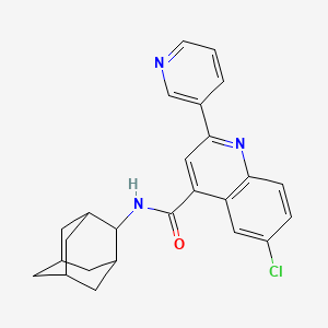 molecular formula C25H24ClN3O B3608144 N-(ADAMANTAN-2-YL)-6-CHLORO-2-(PYRIDIN-3-YL)QUINOLINE-4-CARBOXAMIDE 