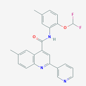 molecular formula C24H19F2N3O2 B3608406 N-[2-(difluoromethoxy)-5-methylphenyl]-6-methyl-2-(pyridin-3-yl)quinoline-4-carboxamide 