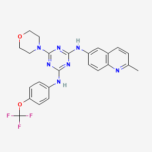 molecular formula C24H22F3N7O2 B3613778 N-(2-METHYL-6-QUINOLYL)-N-{4-MORPHOLINO-6-[4-(TRIFLUOROMETHOXY)ANILINO]-1,3,5-TRIAZIN-2-YL}AMINE 