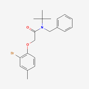 molecular formula C20H24BrNO2 B3627907 N-benzyl-2-(2-bromo-4-methylphenoxy)-N-tert-butylacetamide 