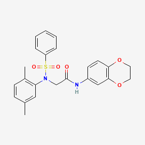 molecular formula C24H24N2O5S B3638699 N~1~-(2,3-dihydro-1,4-benzodioxin-6-yl)-N~2~-(2,5-dimethylphenyl)-N~2~-(phenylsulfonyl)glycinamide 