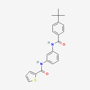 molecular formula C22H22N2O2S B3646667 N-{3-[(4-tert-butylbenzoyl)amino]phenyl}-2-thiophenecarboxamide 