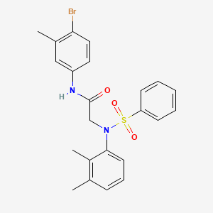 molecular formula C23H23BrN2O3S B3651054 N-(4-BROMO-3-METHYLPHENYL)-2-[N-(2,3-DIMETHYLPHENYL)BENZENESULFONAMIDO]ACETAMIDE 