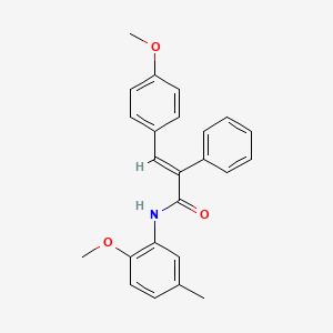 molecular formula C24H23NO3 B3651212 N-(2-methoxy-5-methylphenyl)-3-(4-methoxyphenyl)-2-phenylacrylamide 