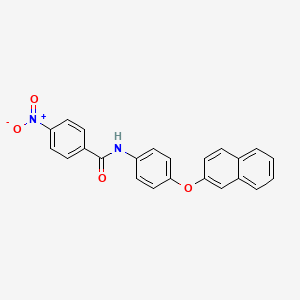 molecular formula C23H16N2O4 B3651872 N-[4-(naphthalen-2-yloxy)phenyl]-4-nitrobenzamide 