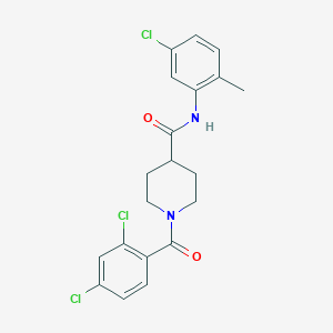 molecular formula C20H19Cl3N2O2 B3659404 N-(5-chloro-2-methylphenyl)-1-[(2,4-dichlorophenyl)carbonyl]piperidine-4-carboxamide 