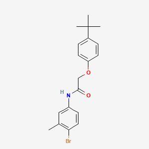molecular formula C19H22BrNO2 B3660834 N-(4-bromo-3-methylphenyl)-2-(4-tert-butylphenoxy)acetamide 