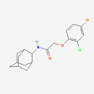 molecular formula C18H21BrClNO2 B3673138 N-(2-adamantyl)-2-(4-bromo-2-chlorophenoxy)acetamide 