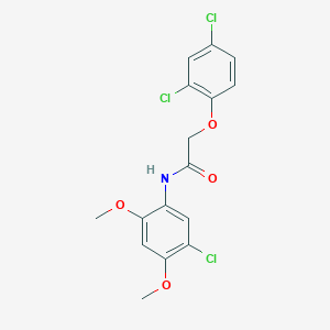 molecular formula C16H14Cl3NO4 B3686822 N-(5-chloro-2,4-dimethoxyphenyl)-2-(2,4-dichlorophenoxy)acetamide 