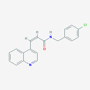 molecular formula C19H15ClN2O B371012 N-(4-chlorobenzyl)-3-(4-quinolinyl)acrylamide 
