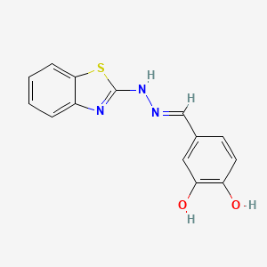 B3717017 3,4-dihydroxybenzaldehyde 1,3-benzothiazol-2-ylhydrazone CAS No. 5491-96-3