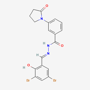 molecular formula C18H15Br2N3O3 B3717322 N-[(E)-(3,5-dibromo-2-hydroxyphenyl)methylideneamino]-3-(2-oxopyrrolidin-1-yl)benzamide 