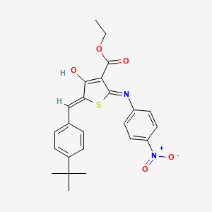 molecular formula C24H24N2O5S B3723533 ethyl (5Z)-5-(4-tert-butylbenzylidene)-2-[(4-nitrophenyl)amino]-4-oxo-4,5-dihydrothiophene-3-carboxylate 