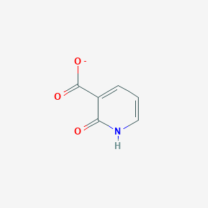 Hydroxynicotinate