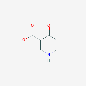 molecular formula C6H4NO3- B372479 4-oxo-1H-pyridine-3-carboxylate 