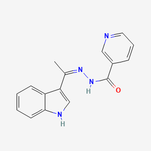 molecular formula C16H14N4O B3728555 N'-[(1Z)-1-(1H-Indol-3-YL)ethylidene]pyridine-3-carbohydrazide 