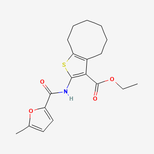 molecular formula C19H23NO4S B3741255 ETHYL 2-{[(5-METHYL-2-FURYL)CARBONYL]AMINO}-4,5,6,7,8,9-HEXAHYDROCYCLOOCTA[B]THIOPHENE-3-CARBOXYLATE 