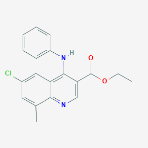 molecular formula C19H17ClN2O2 B374996 Ethyl 4-anilino-6-chloro-8-methylquinoline-3-carboxylate CAS No. 369393-13-5