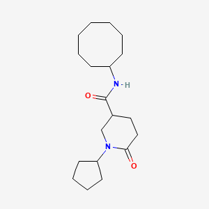 molecular formula C19H32N2O2 B3764354 N-cyclooctyl-1-cyclopentyl-6-oxo-3-piperidinecarboxamide 