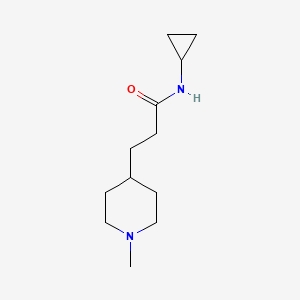 molecular formula C12H22N2O B3770758 N-cyclopropyl-3-(1-methyl-4-piperidinyl)propanamide 