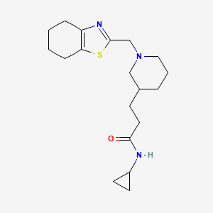 molecular formula C19H29N3OS B3772377 N-cyclopropyl-3-[1-(4,5,6,7-tetrahydro-1,3-benzothiazol-2-ylmethyl)piperidin-3-yl]propanamide 