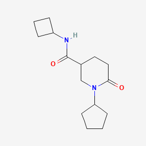 molecular formula C15H24N2O2 B3774617 N-cyclobutyl-1-cyclopentyl-6-oxo-3-piperidinecarboxamide 