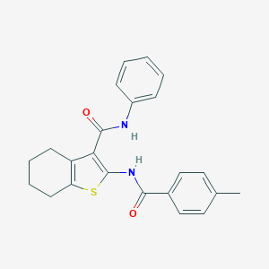 molecular formula C23H22N2O2S B377796 2-[(4-methylbenzoyl)amino]-N-phenyl-4,5,6,7-tetrahydro-1-benzothiophene-3-carboxamide 