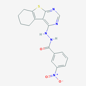 molecular formula C17H15N5O3S B377963 3-nitro-N'-(5,6,7,8-tetrahydro[1]benzothieno[2,3-d]pyrimidin-4-yl)benzohydrazide CAS No. 304474-86-0
