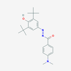 molecular formula C23H31N3O2 B378037 N'-(3,5-ditert-butyl-4-oxo-2,5-cyclohexadien-1-ylidene)-4-(dimethylamino)benzohydrazide 
