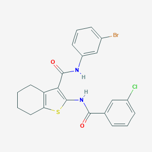 N-(3-bromophenyl)-2-[(3-chlorobenzoyl)amino]-4,5,6,7-tetrahydro-1-benzothiophene-3-carboxamide