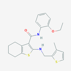 molecular formula C23H26N2O2S2 B379086 N-(2-ETHOXYPHENYL)-2-{[(3-METHYLTHIOPHEN-2-YL)METHYL]AMINO}-4,5,6,7-TETRAHYDRO-1-BENZOTHIOPHENE-3-CARBOXAMIDE 