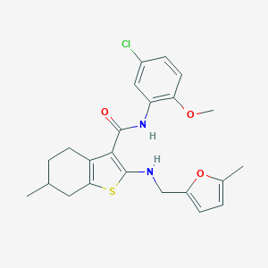 molecular formula C23H25ClN2O3S B379095 N-(5-CHLORO-2-METHOXYPHENYL)-6-METHYL-2-{[(5-METHYLFURAN-2-YL)METHYL]AMINO}-4,5,6,7-TETRAHYDRO-1-BENZOTHIOPHENE-3-CARBOXAMIDE 