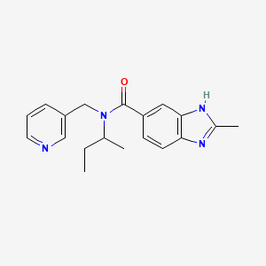 molecular formula C19H22N4O B3792935 N-(sec-butyl)-2-methyl-N-(pyridin-3-ylmethyl)-1H-benzimidazole-5-carboxamide 